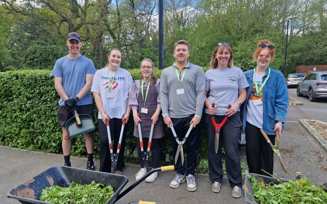 Volunteering Day